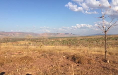 97870B61-7882-48A2-B356-B23ED7E4A192