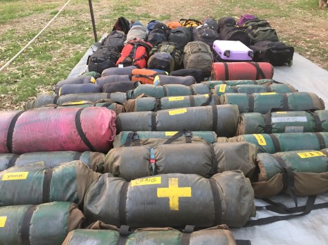 DC79E66D-C4F0-408A-BA2A-B3E3DD63C52F