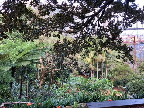 8AD2B16F-6AB9-4F64-9125-E8DA7E4864B6